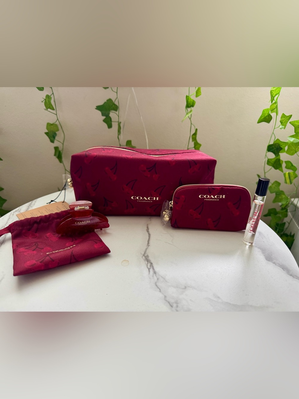 COACH 🍒 Cherry-Print Cosmetic beauty Pouch set